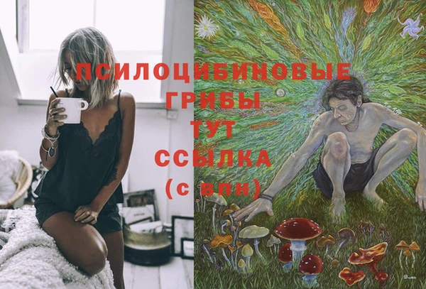 соль ск Алексин
