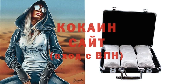 соль ск Алексин