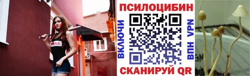 купить наркотик  Кореновск  blacksprut зеркало  Псилоцибиновые грибы прущие грибы 
