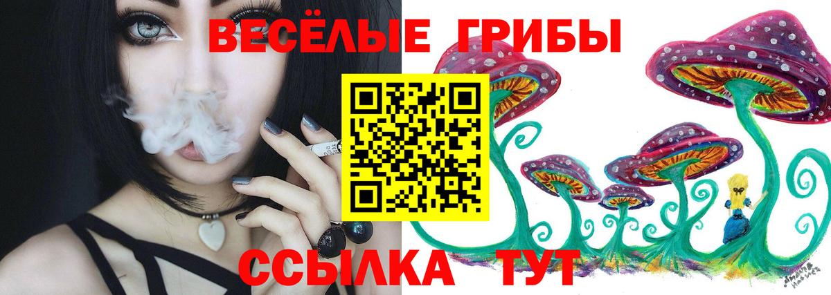 Кореновск  Галлюциногенные грибы мицелий  Вход с VPN 